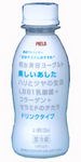meijiutsukushi.jpg