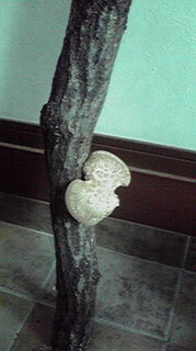 2010103110530000.jpg